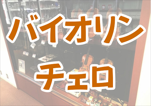 枚方店の弦楽器